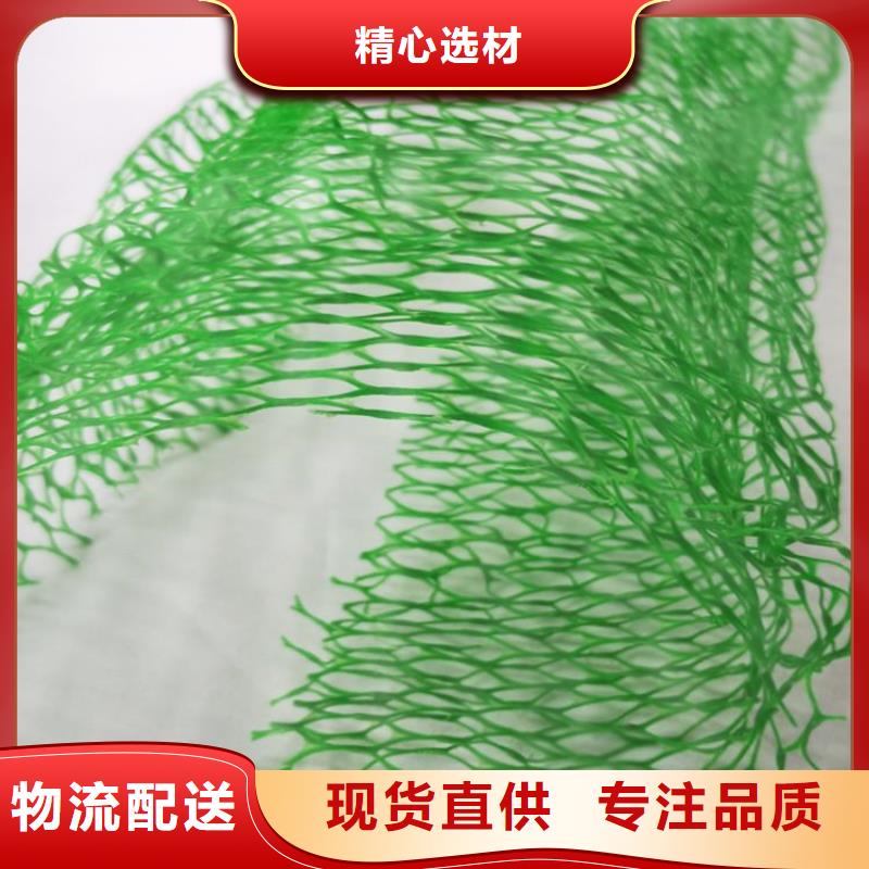 三维植被网,塑料盲沟规格齐全