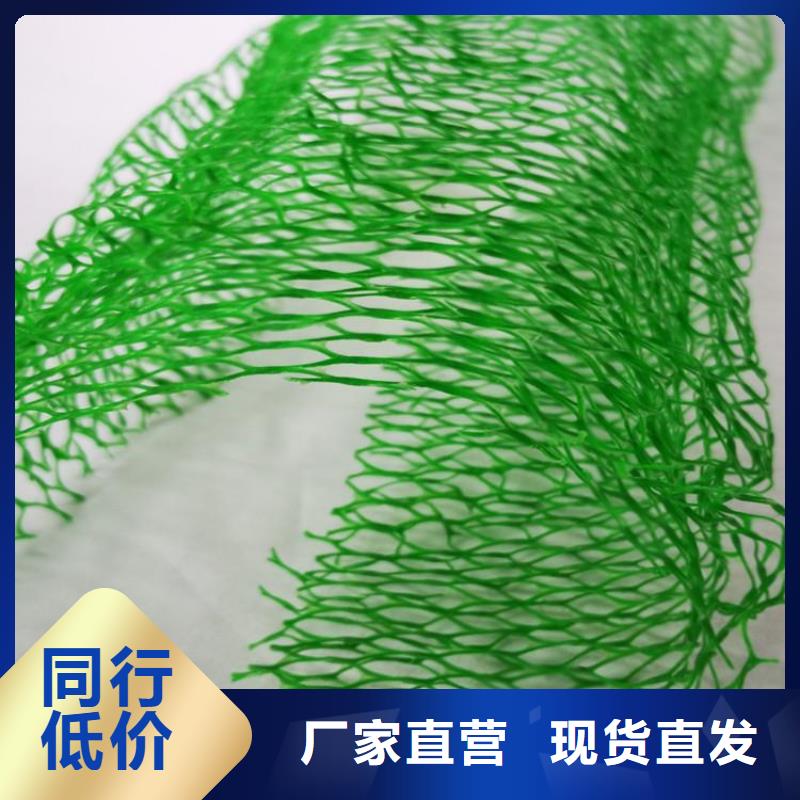 三维植被网-EM5三维护坡植草网垫