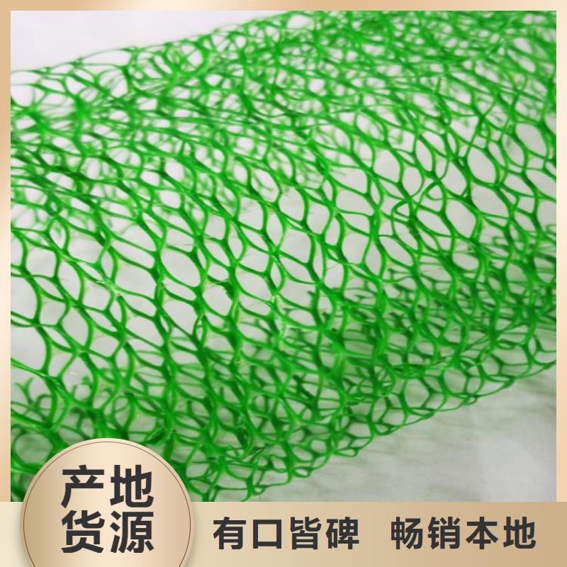 三维土工网垫EM2草皮