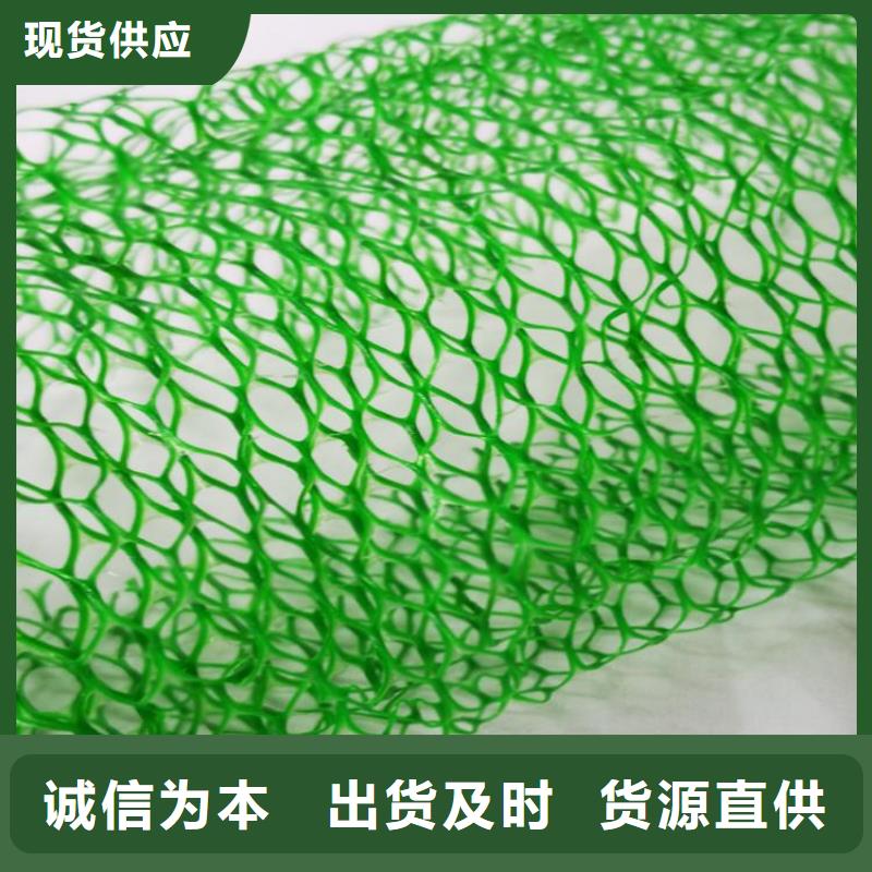 三维土工网垫-三维土工网垫