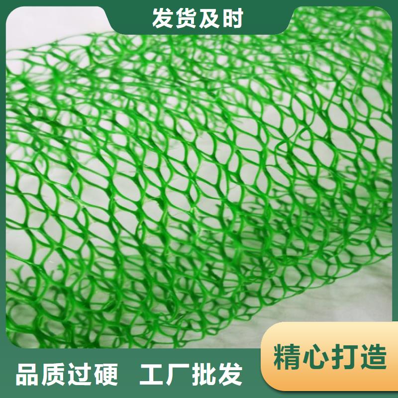 三维土工网垫防渗-渗排水