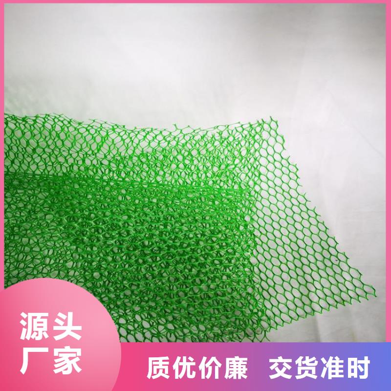EM5三维加筋网垫批发供应