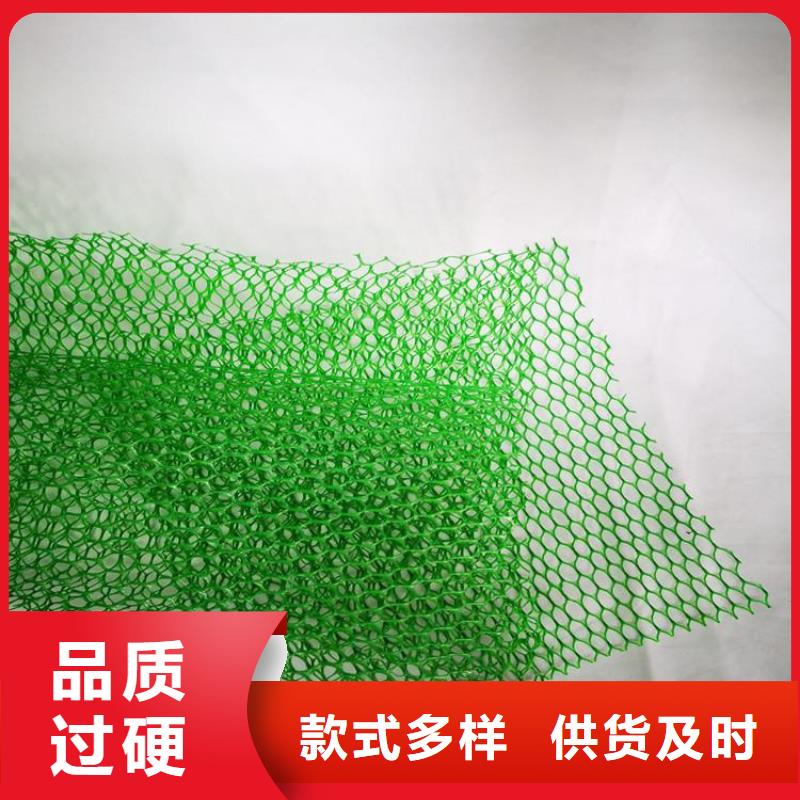 三维植被网厂家批发
