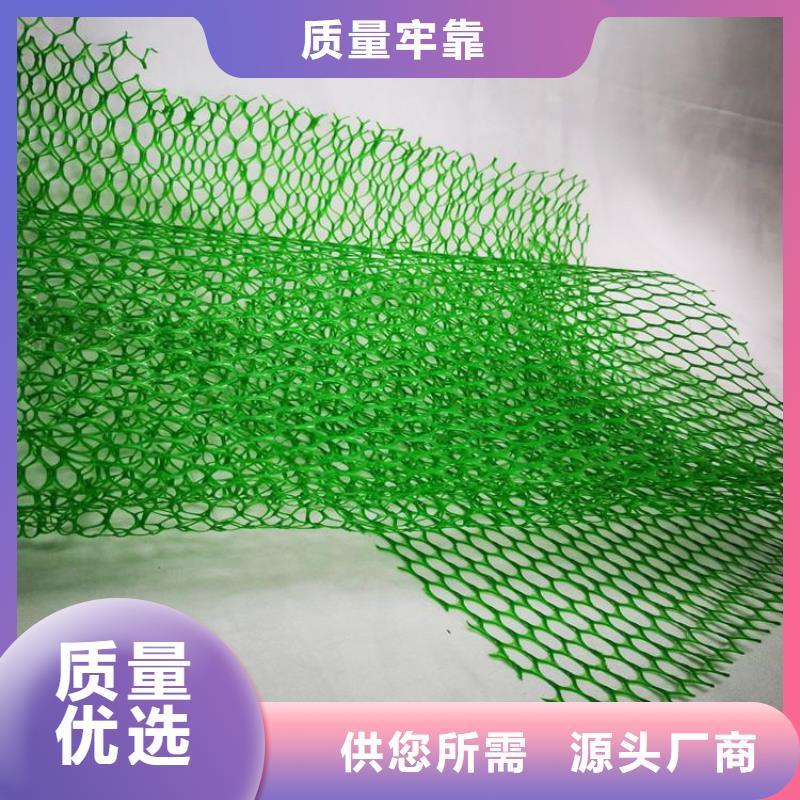 三维固土网垫EM3三维固土网垫