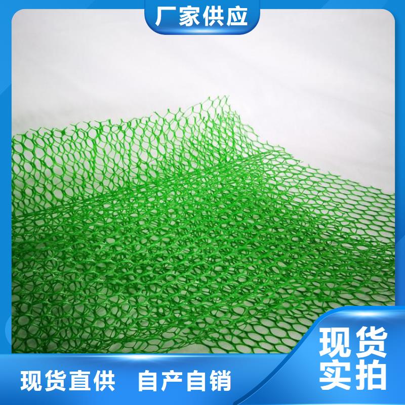 三维植被网-膨润土防水毯供货及时