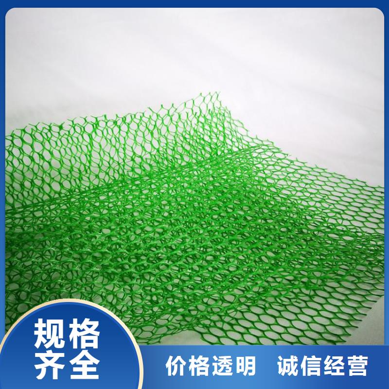 三维植被网涤纶格栅懂您所需