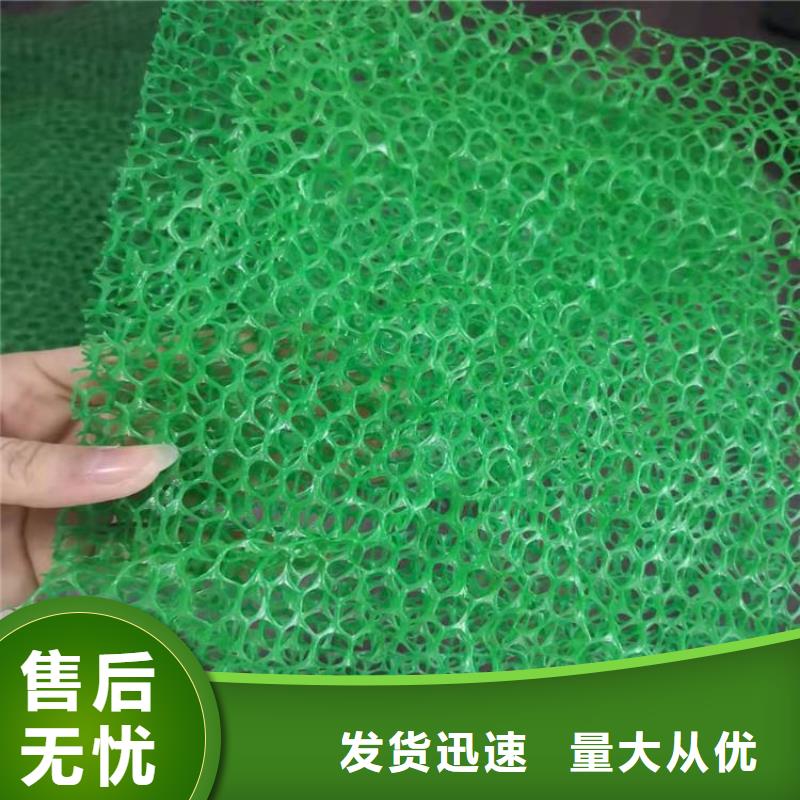 EM5三维护坡植草网垫