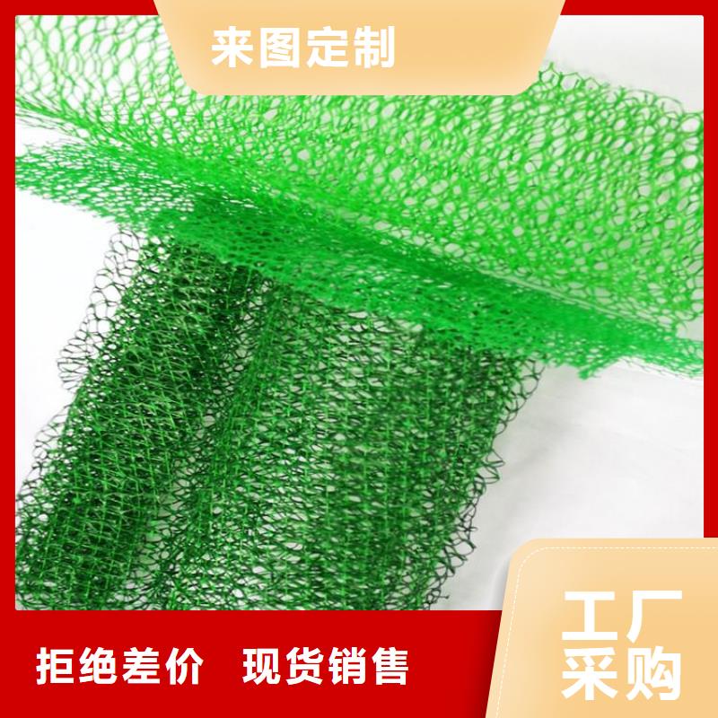 三维植被网涤纶格栅懂您所需