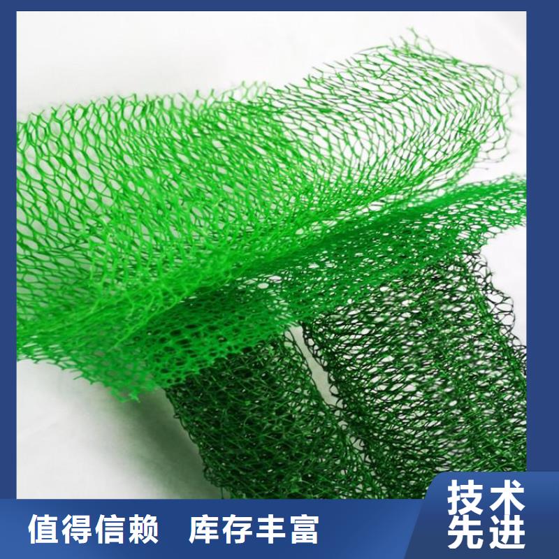 三维固土网垫购买