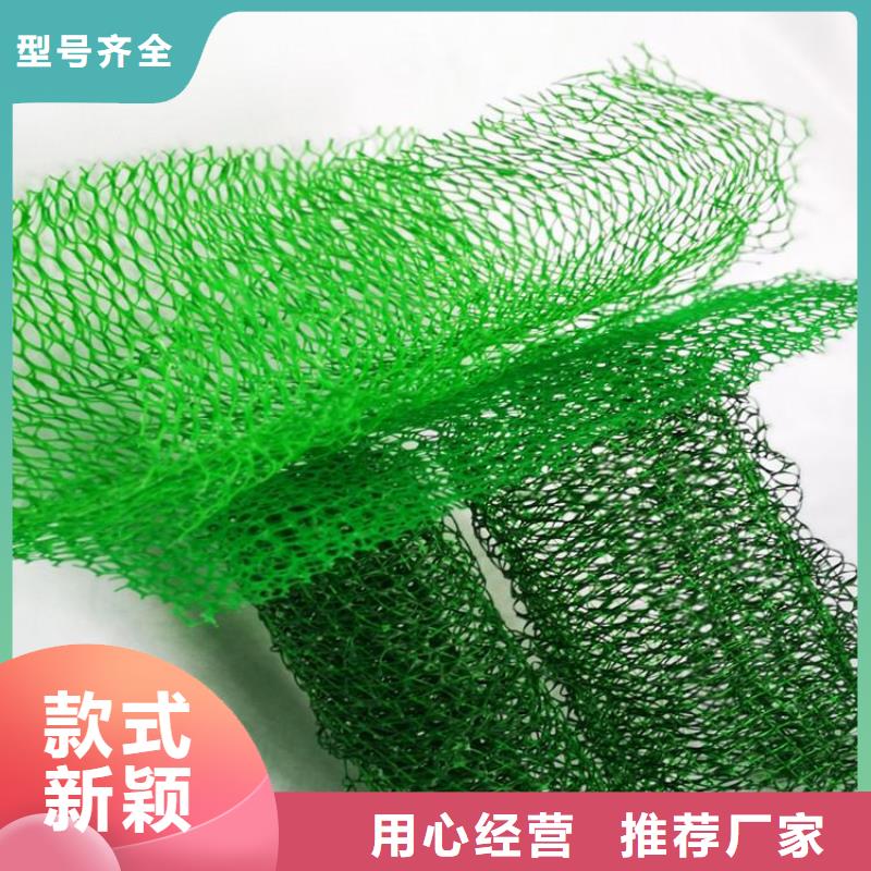 三维植被网厂家-公司经销