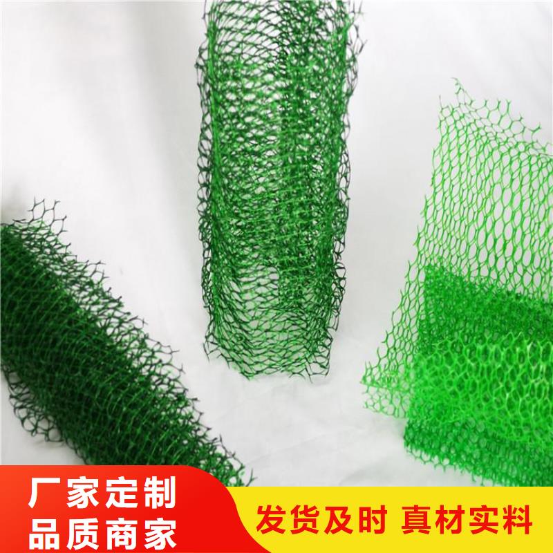 三维护坡植草网垫规范施工