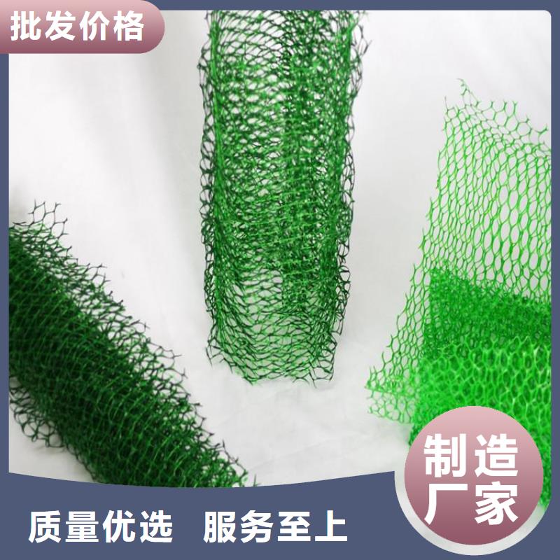 三维护坡植草网垫