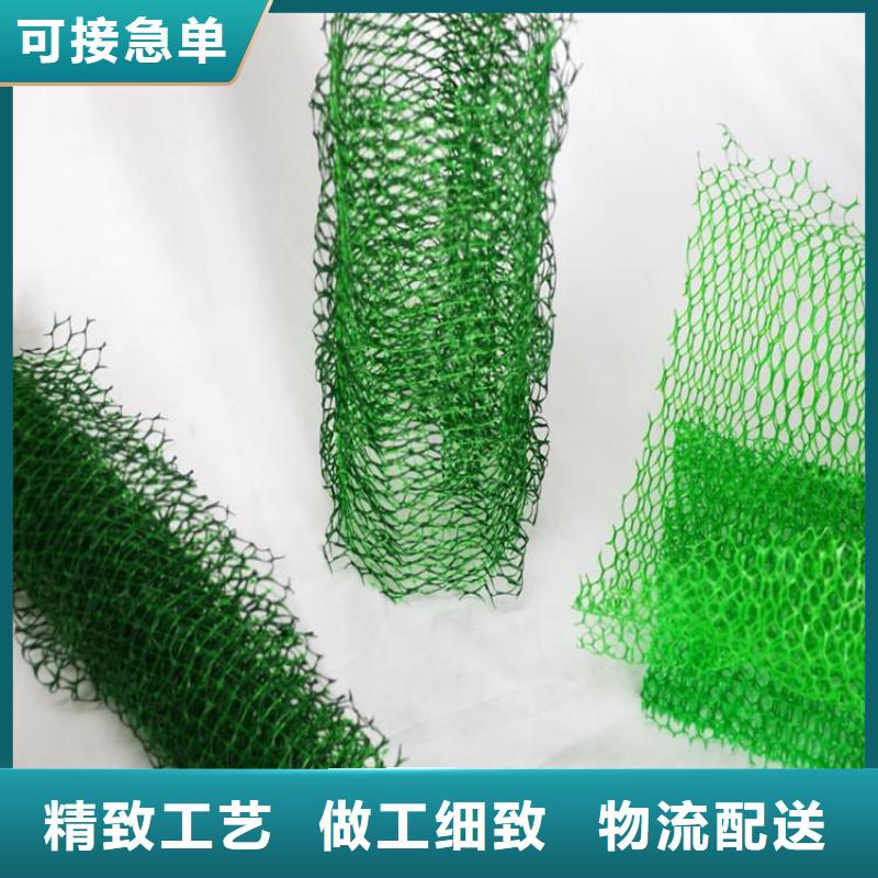 EM5环保加筋护坡植草网垫