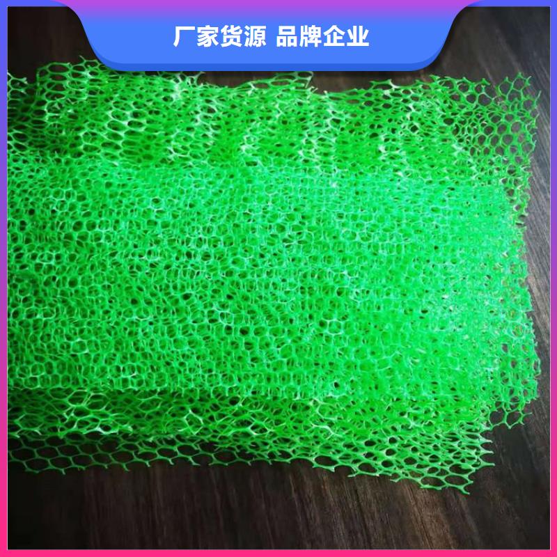 EM3三维土工网垫厂家