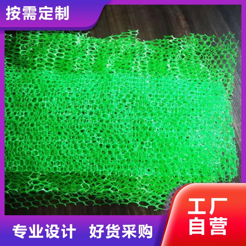 三维固土网垫EM3三维加筋网垫