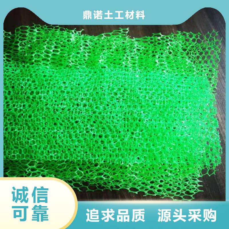 三维植被网环保边坡