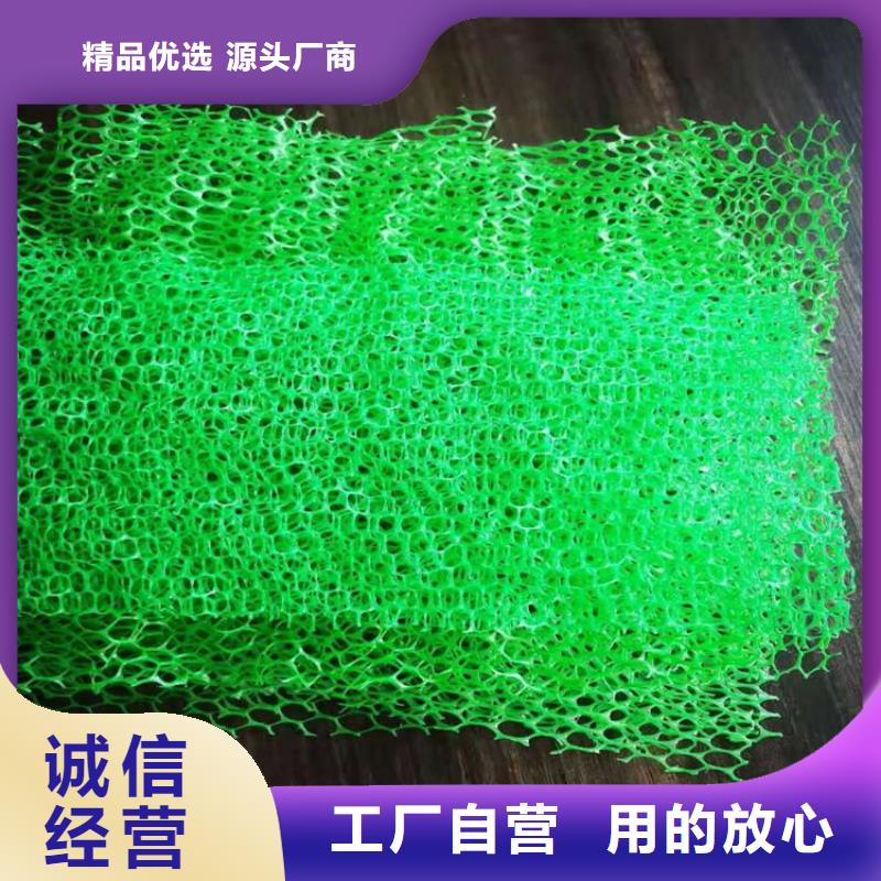 EM3三维加筋网垫厂家-公司代理