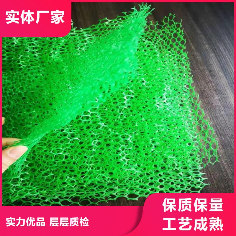 三维土工网垫-三维植被网