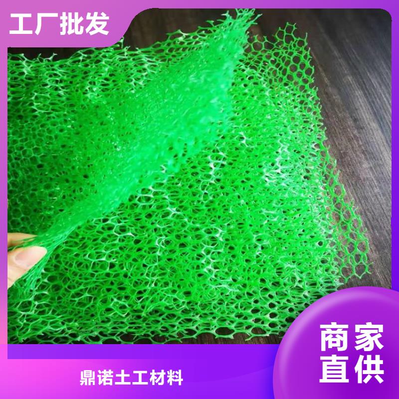 三维土工网垫来图定制
