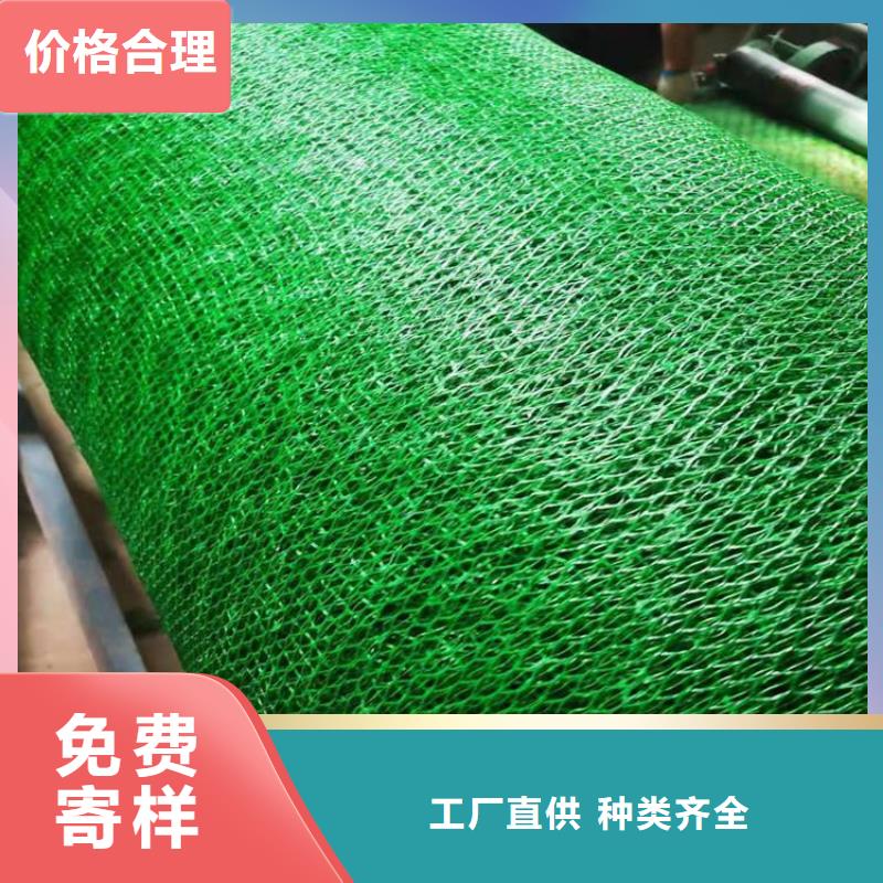 三维加筋网垫-EM2三维植被网