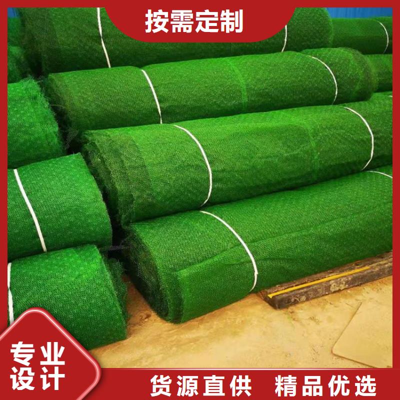 三维植被网通风降噪丝网现货充足