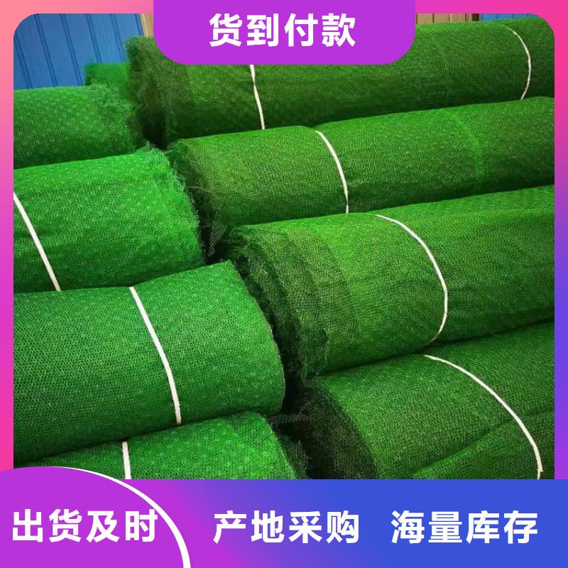 三维植被网护坡EM2