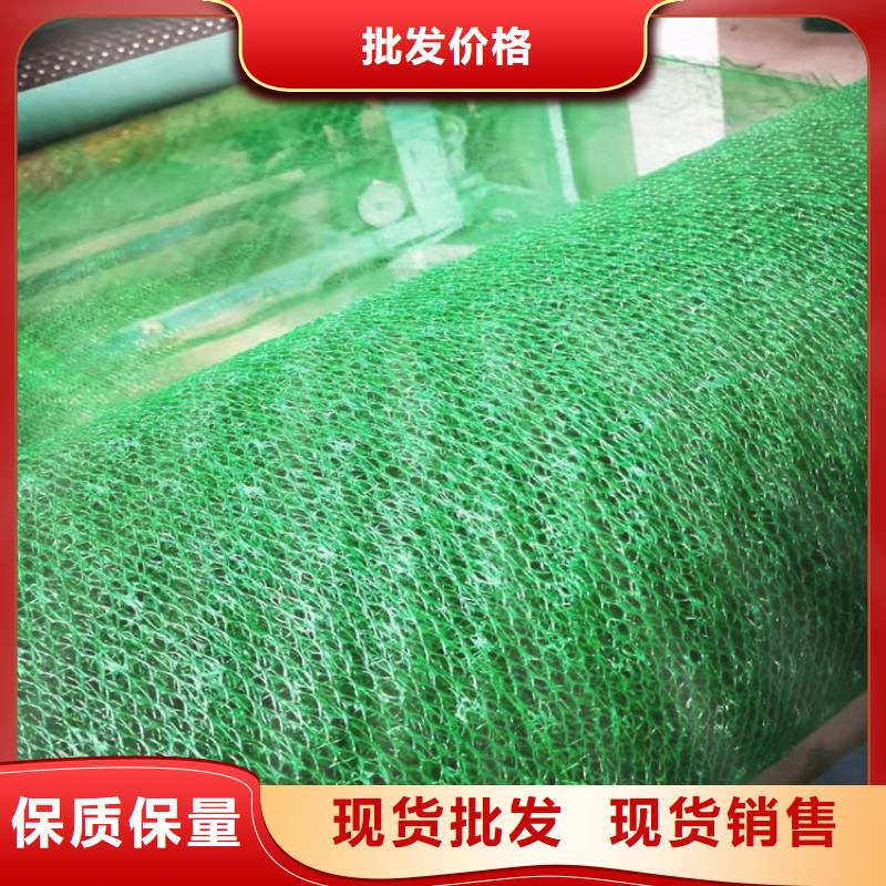 EM4塑料三维土工网垫