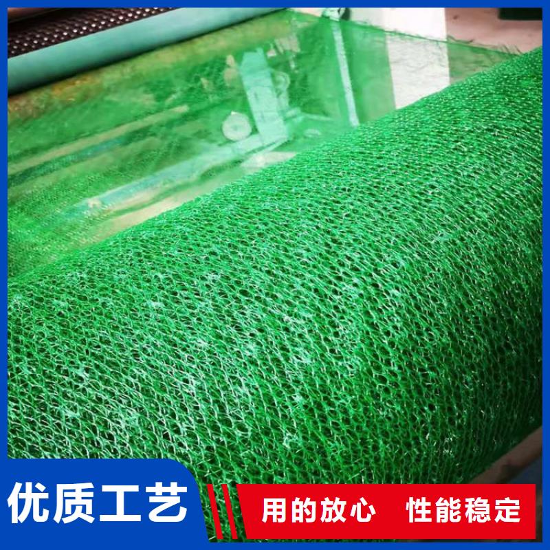 护坡固土三维土工网垫