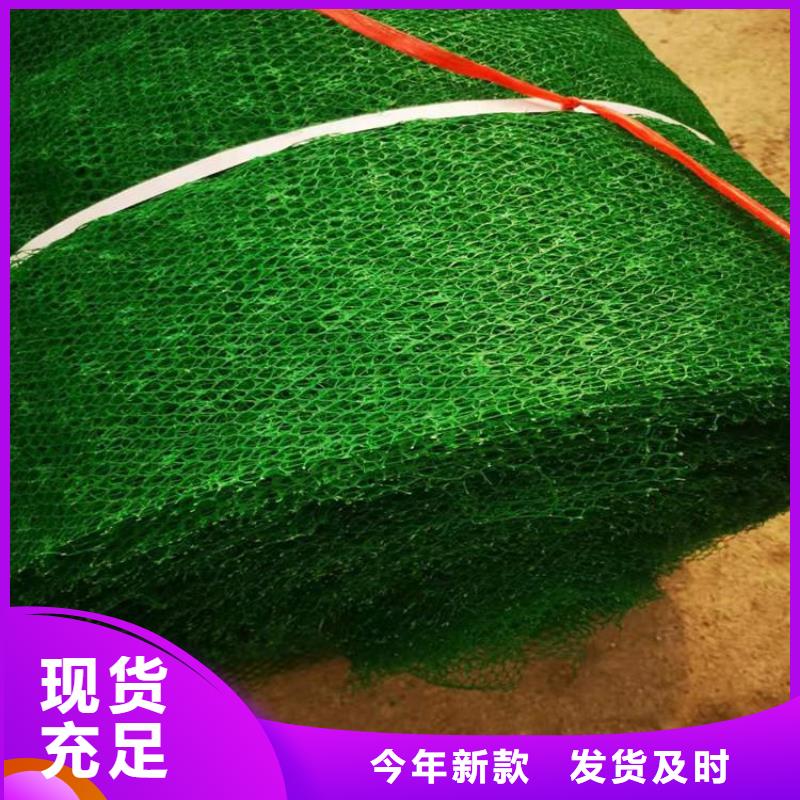 三维土工网垫图片参数
