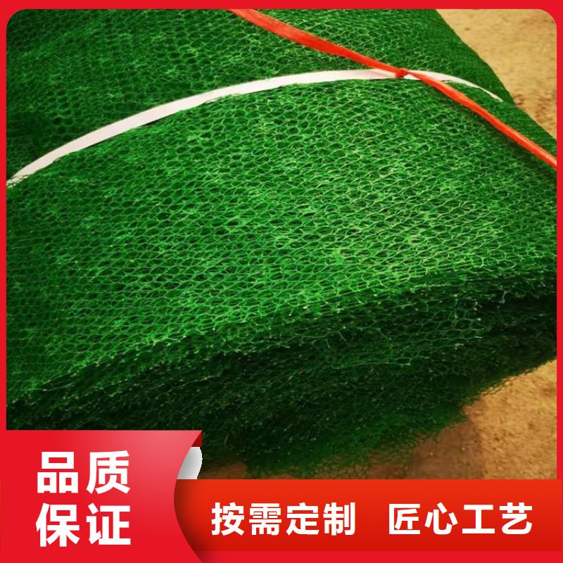 三维固土网垫三维固土网垫