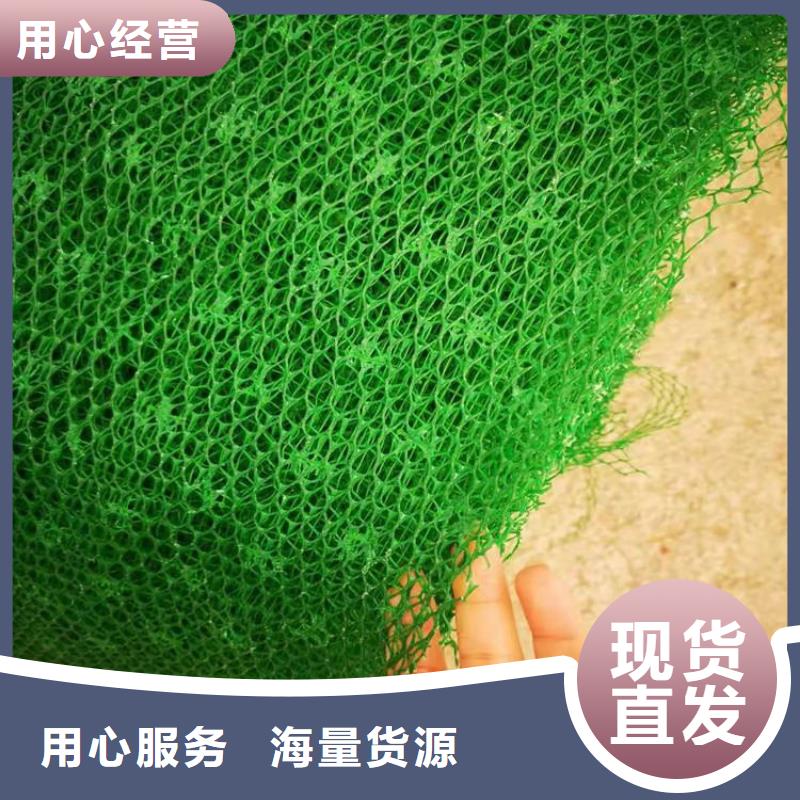 三维植草网垫环保固土