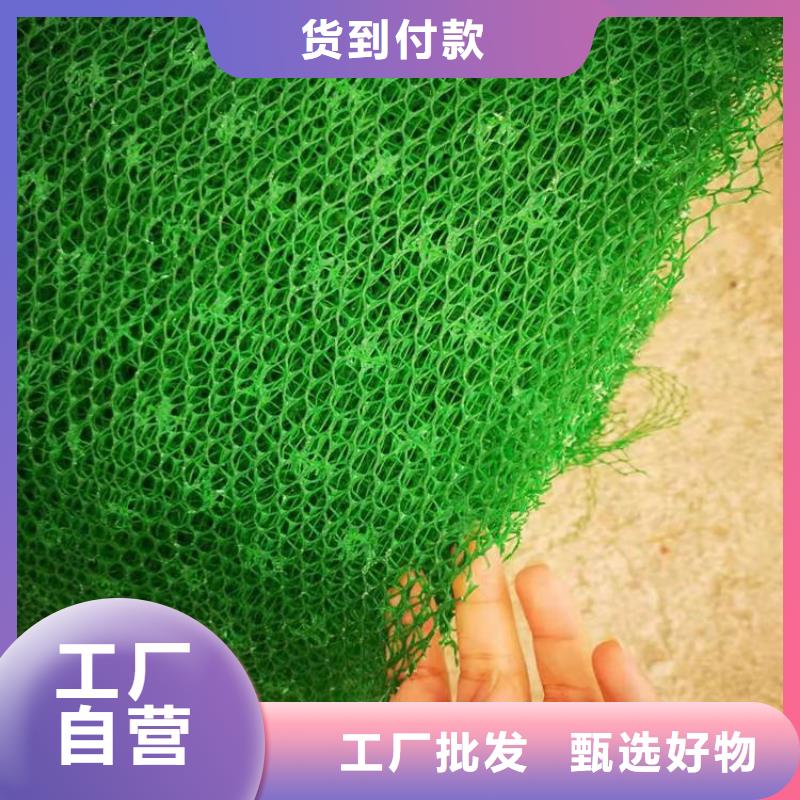 三维土工网垫护坡EM4