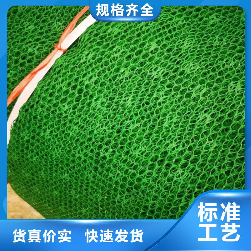 EM3三维土工网垫全国走货