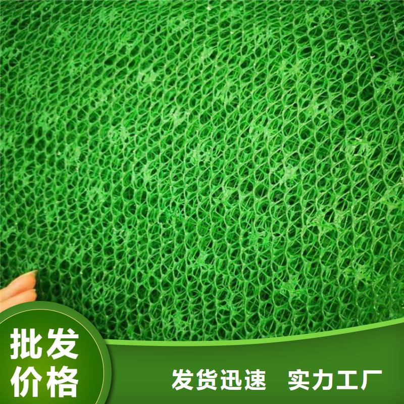 EM5三维加筋网垫批发供应