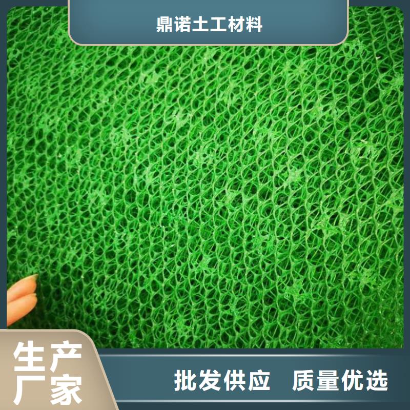 护坡EM3三维土工网垫