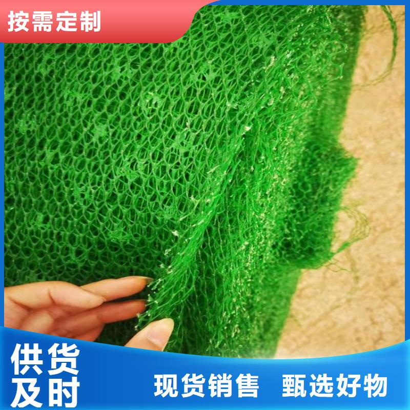 三维植被网施工范围