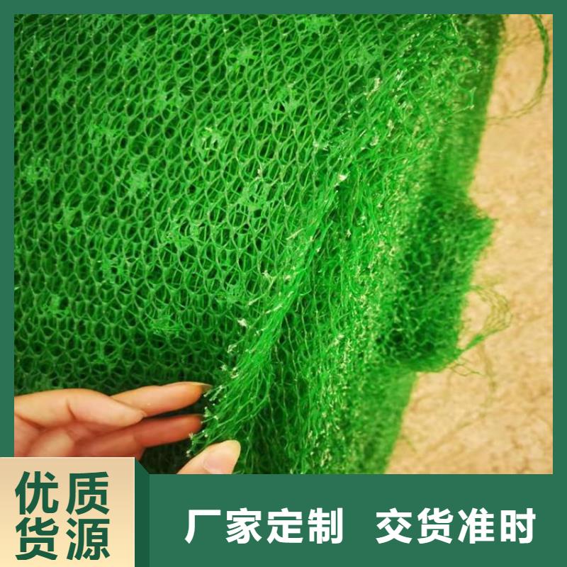 【三维植被网-网格布购买的是放心】
