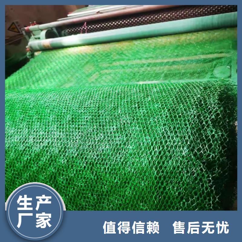 三维土工网垫-三维护坡植草网垫