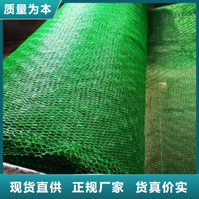 三维固土网垫EM4三维护坡植草网垫