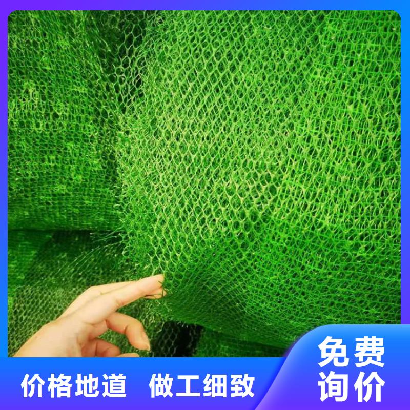 三维植被网动态