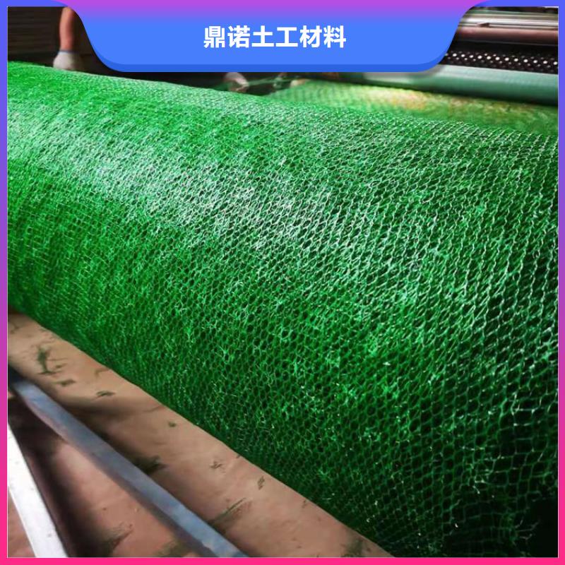三维植被网-EM3三维土工网垫
