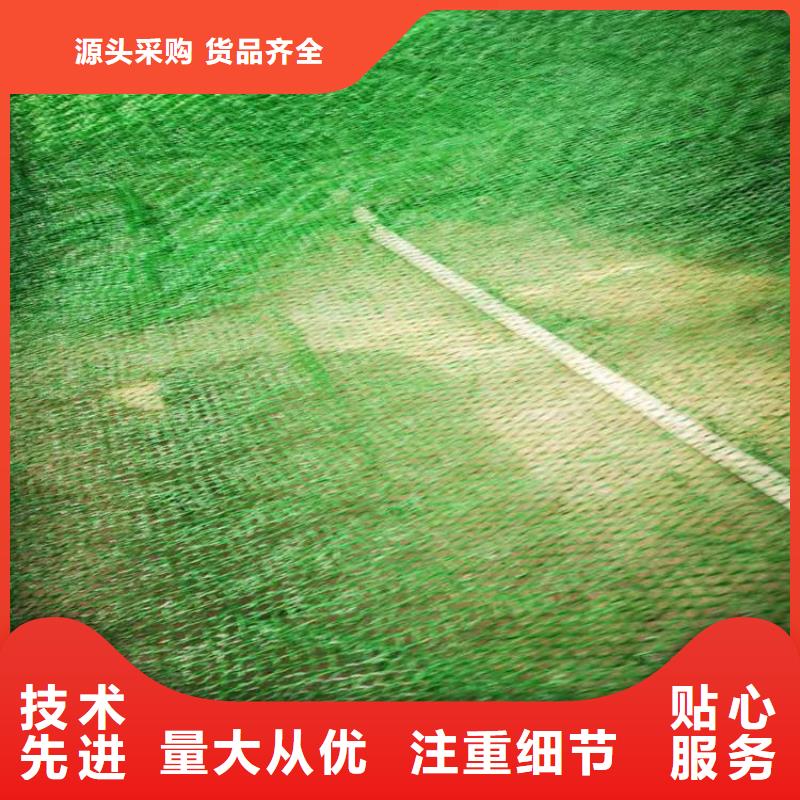 三维固土网垫来厂考察