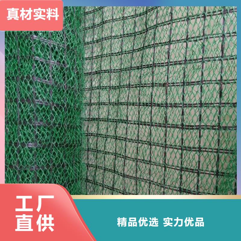 三维植被网_土工布厂家经验丰富