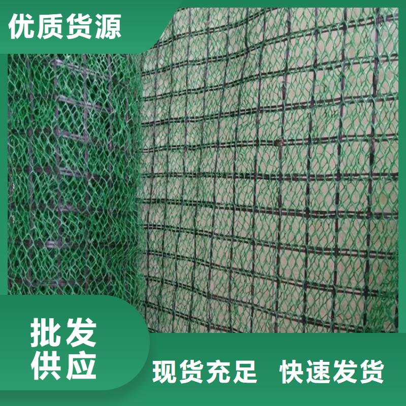 三维植被网厂家批发