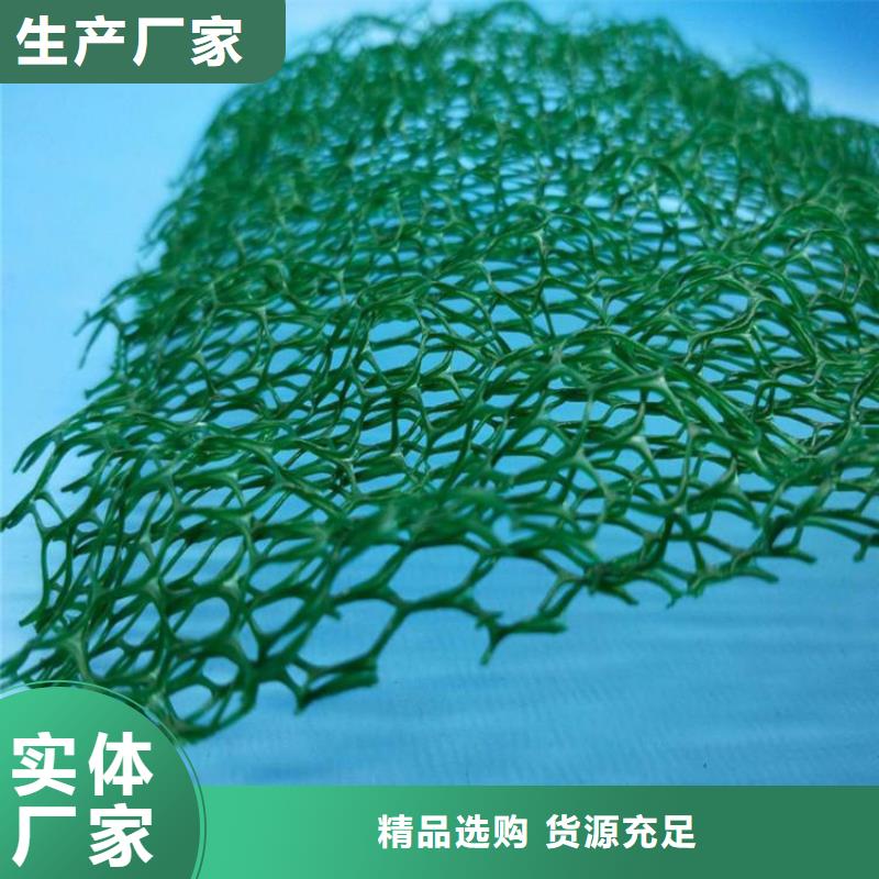 三维土工网垫厂家经销