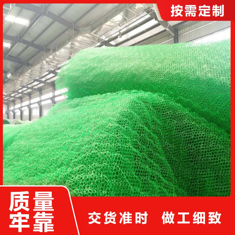 三维土工网垫-三维加筋网垫