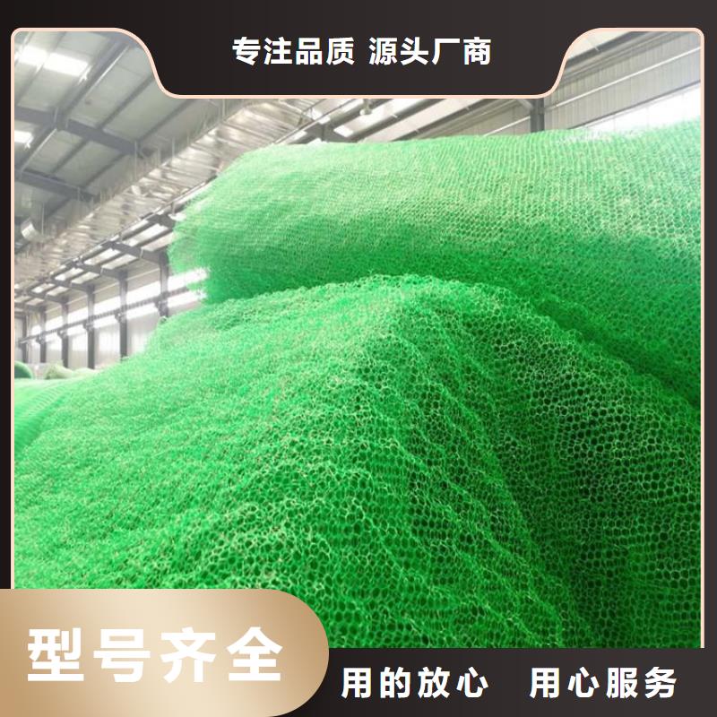 EM4三维护坡植草网垫