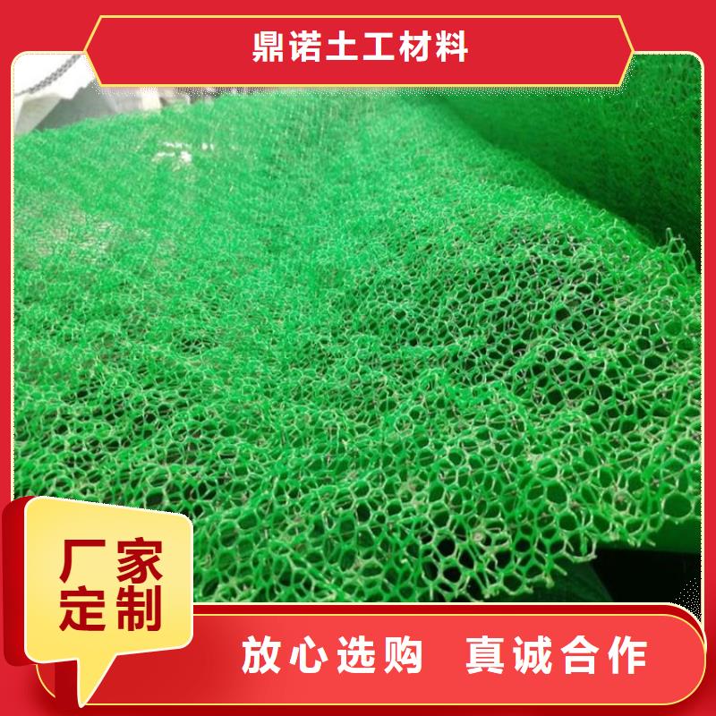 三维植草网垫环保固土