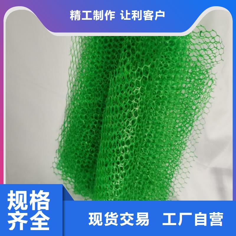 EM5三维加筋网垫批发供应