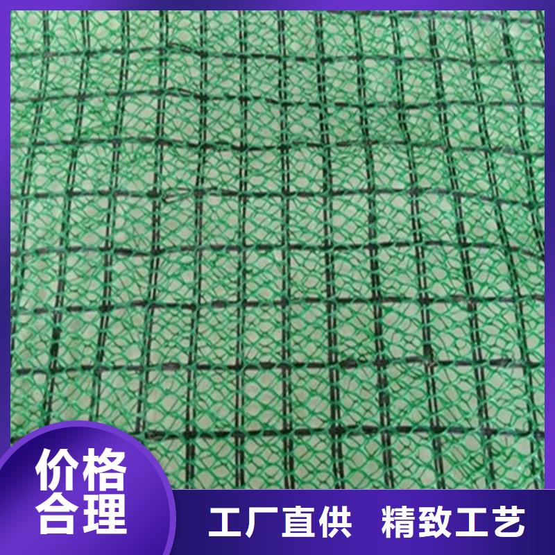 草皮护坡三维固土网垫